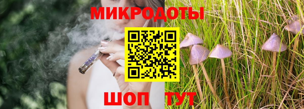 Томск  Галлюциногенные грибы MAGIC MUSHROOMS  Вход с VPN  Галлюциногенные грибы прущие грибы 
