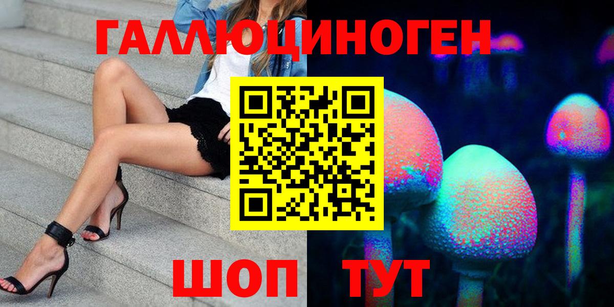 Галлюциногенные грибы Psilocybine cubensis Томск